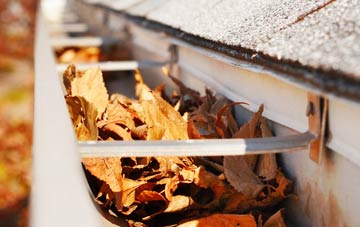 Royds Green gutter cleaning companies